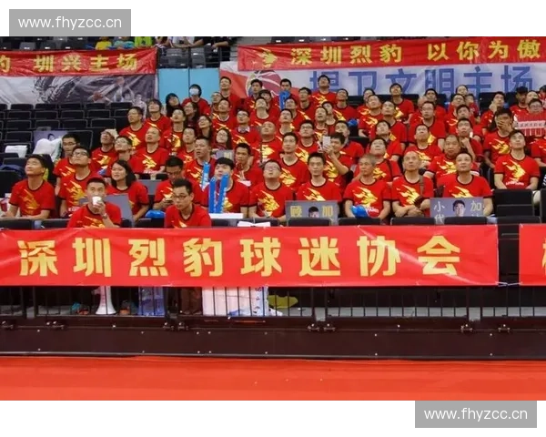 球迷组织在现代体育文化中的作用与发展趋势分析